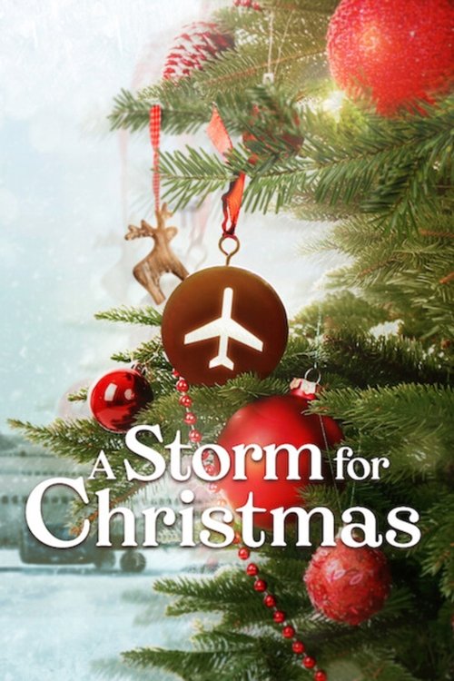 A Storm for Christmas : 1.Sezon 4.Bölüm