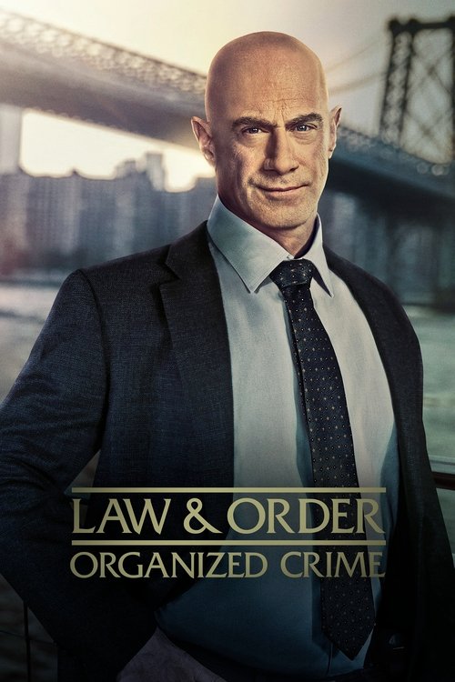 Law & Order Organized Crime : 2.Sezon 12.Bölüm