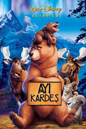 Ayı Kardeş izle