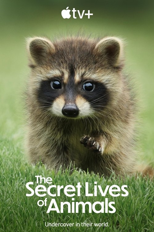 The Secret Lives of Animals : 1.Sezon 6.Bölüm
