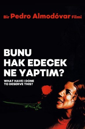 Bunu Hak Edecek Ne Yaptım? izle (1984)