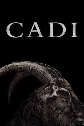 Cadı izle (2016)