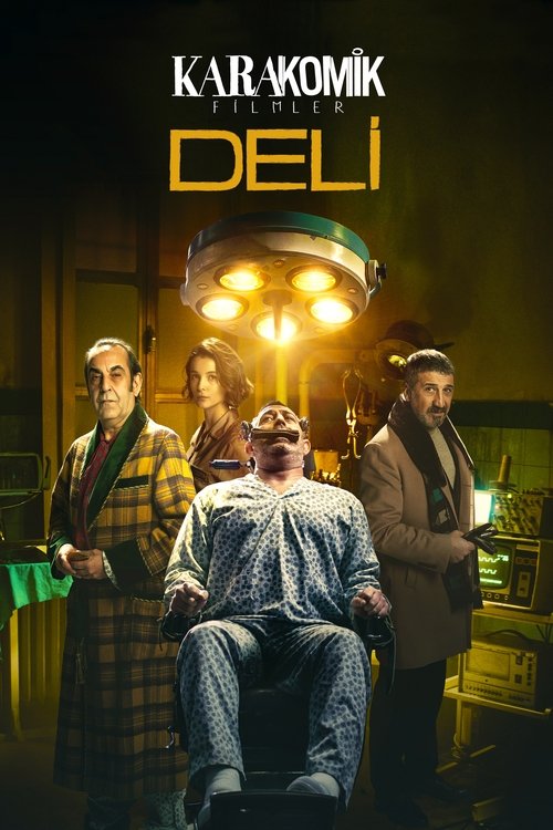 Karakomik Filmler 2: Deli izle (2020)