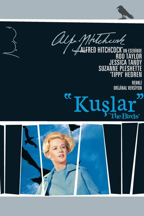 Kuşlar izle (1963)