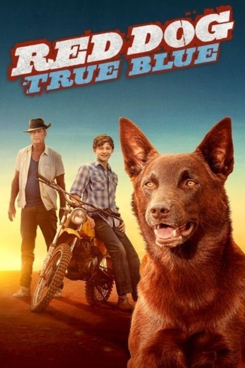 Red Dog: True Blue izle (2016)