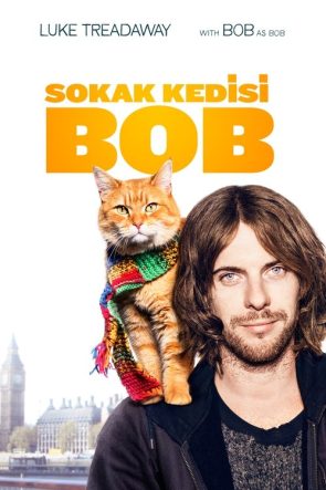 Sokak Kedisi Bob izle (2016)
