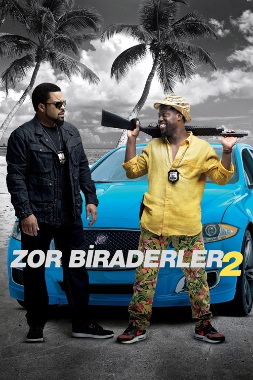Zor Biraderler 2 izle (2016)