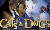 Kediler ve Köpekler izle (2001)