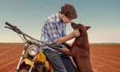 Red Dog: True Blue izle (2016)